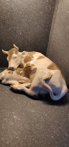 800 Royal copenhagen ko med kalv. formgivet af Knud Kyhn
